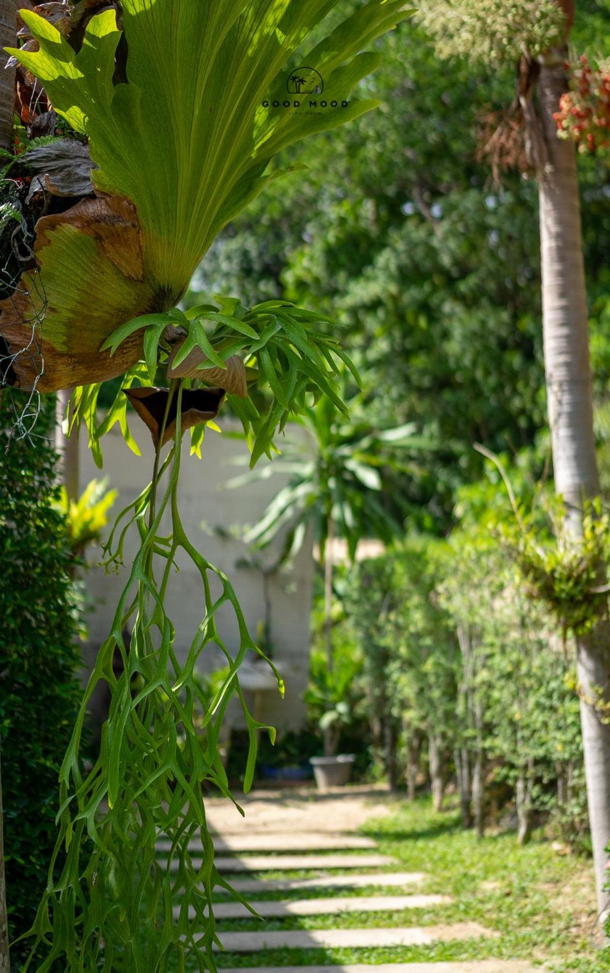 Good Mood Resort Koh Lipe Exterior photo